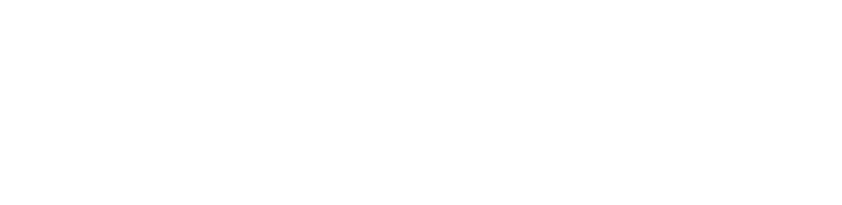 Rigifoam